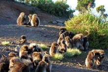 Национальный парк Сымен. Знакомство с горами и геладами