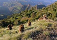 Национальный парк Сымен. Знакомство с горами и геладами