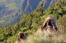 Национальный парк Сымен. Знакомство с горами и геладами