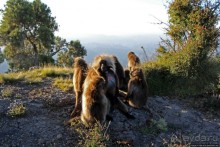 Национальный парк Сымен. Знакомство с горами и геладами