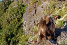 Национальный парк Сымен. Знакомство с горами и геладами