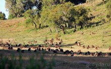 Национальный парк Сымен. Знакомство с горами и геладами