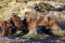 Национальный парк Сымен. Знакомство с горами и геладами