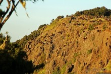 Национальный парк Сымен. Знакомство с горами и геладами