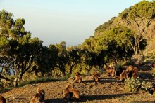 Национальный парк Сымен. Знакомство с горами и геладами