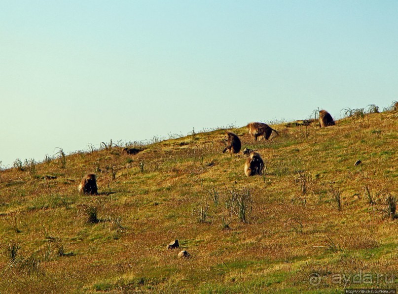 Национальный парк Сымен. Знакомство с горами и геладами