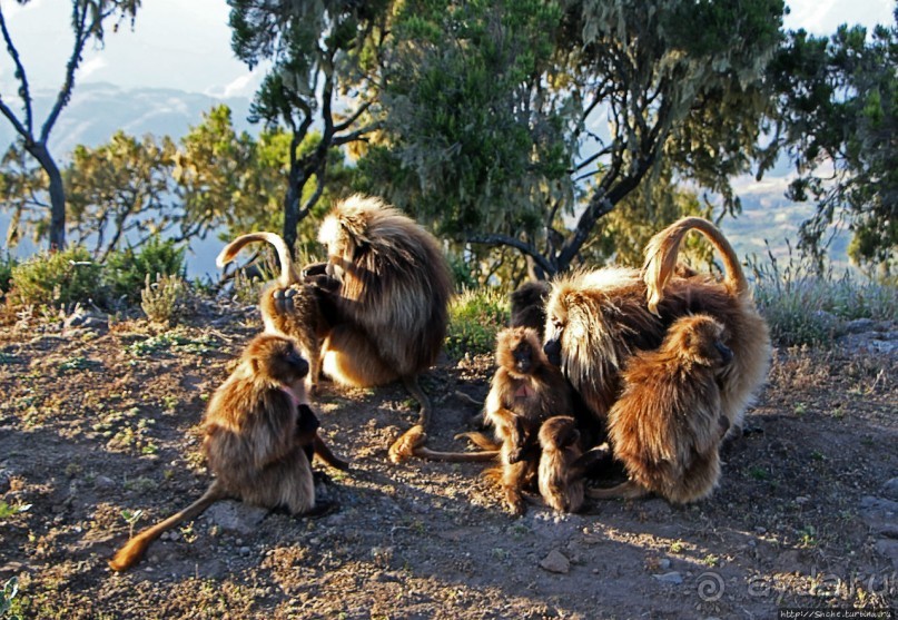 Национальный парк Сымен. Знакомство с горами и геладами