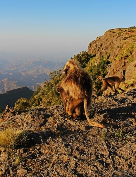 Национальный парк Сымен. Знакомство с горами и геладами