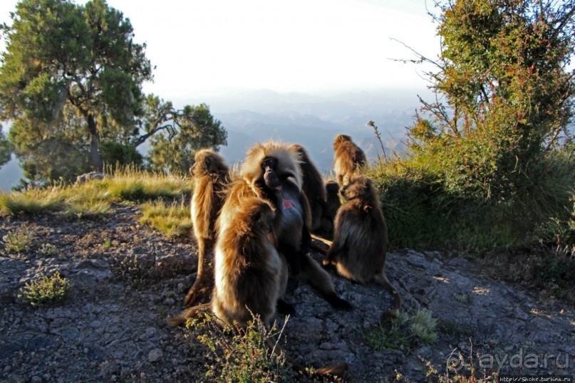 Национальный парк Сымен. Знакомство с горами и геладами