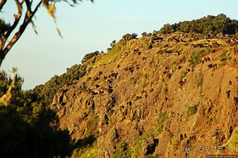 Национальный парк Сымен. Знакомство с горами и геладами