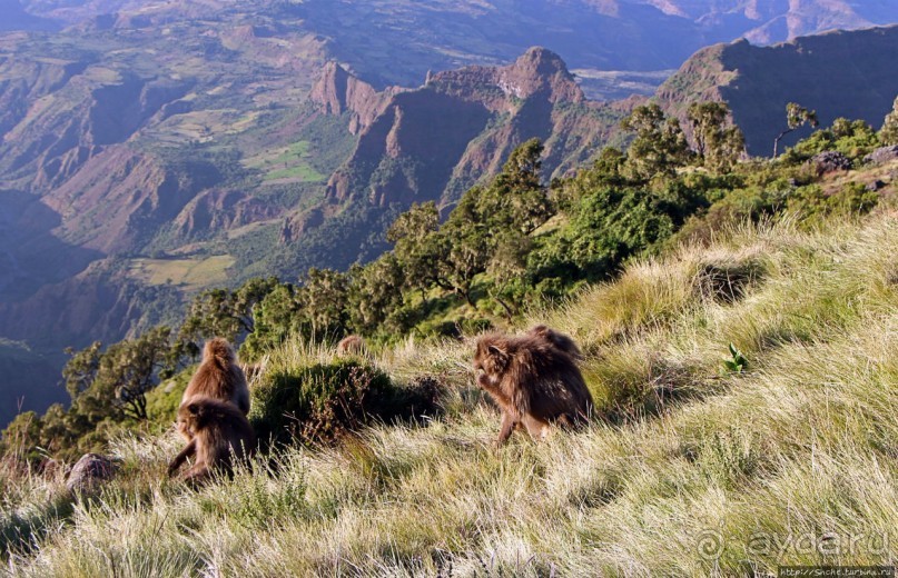 Национальный парк Сымен. Знакомство с горами и геладами