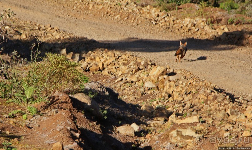 Национальный парк Сымен. Знакомство с горами и геладами