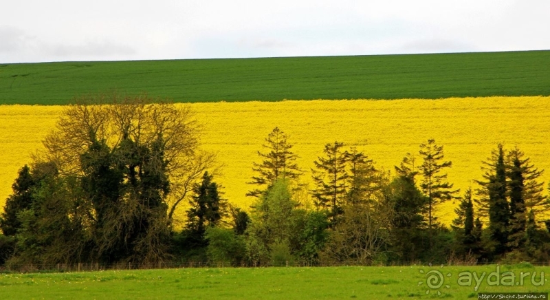 Silbury Hill — 4500-летняя загадка Эйвбери (ЮНЕСКО 373-002)