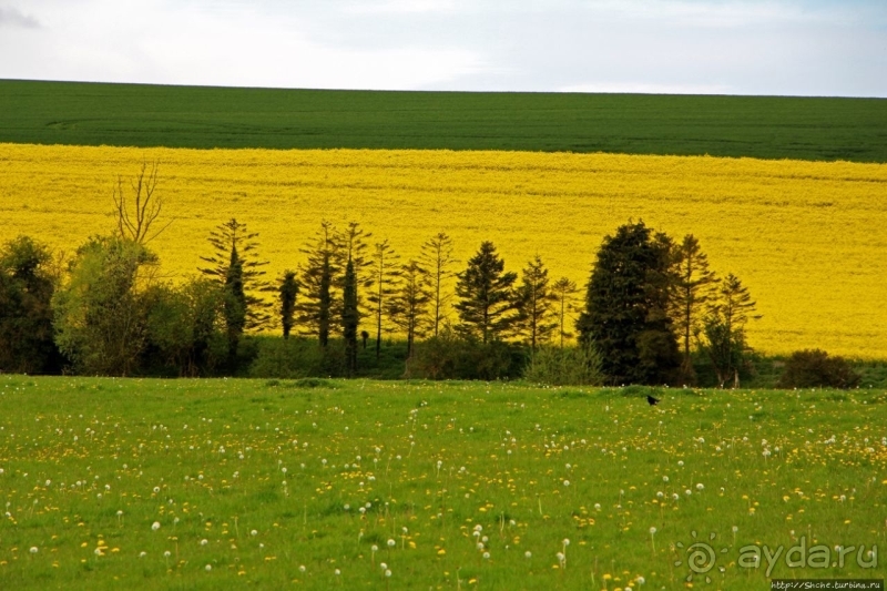 Silbury Hill — 4500-летняя загадка Эйвбери (ЮНЕСКО 373-002)