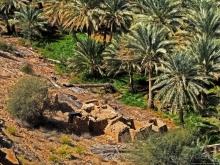 Ирригационные системы "фаладжи": чудо создания оазисов Омана