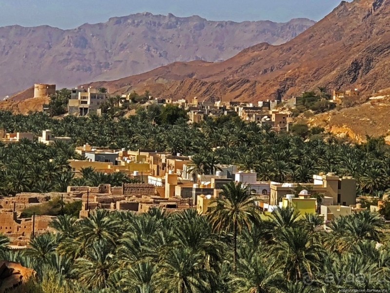 Ирригационные системы "фаладжи": чудо создания оазисов Омана