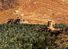 Ирригационные системы "фаладжи": чудо создания оазисов Омана