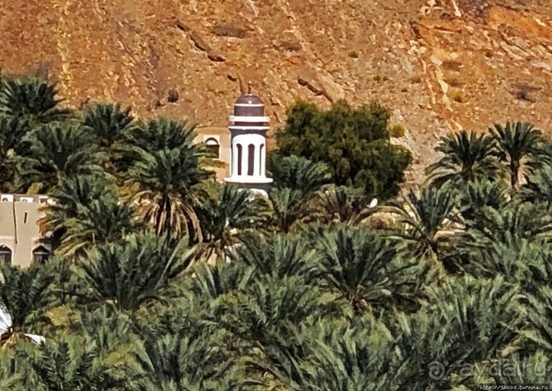 Ирригационные системы "фаладжи": чудо создания оазисов Омана