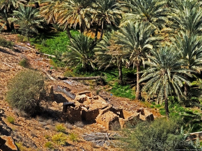 Ирригационные системы "фаладжи": чудо создания оазисов Омана