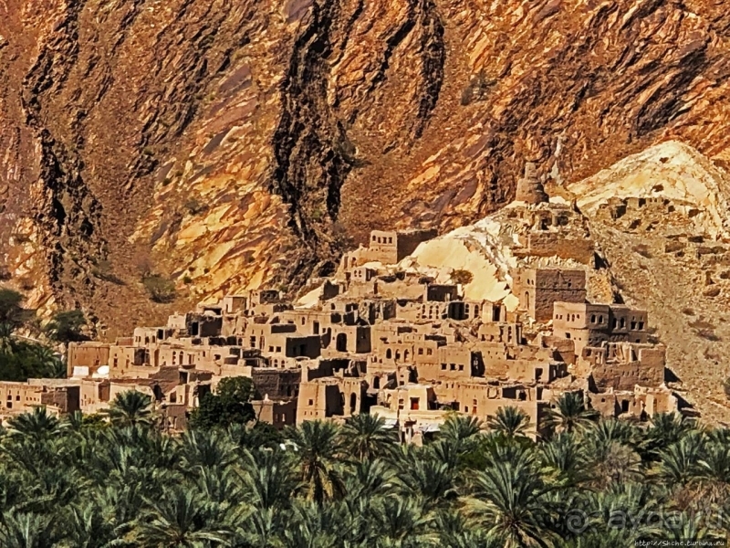 Ирригационные системы "фаладжи": чудо создания оазисов Омана