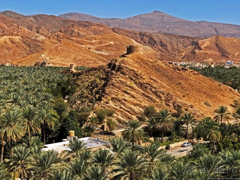 Ирригационные системы "фаладжи": чудо создания оазисов Омана