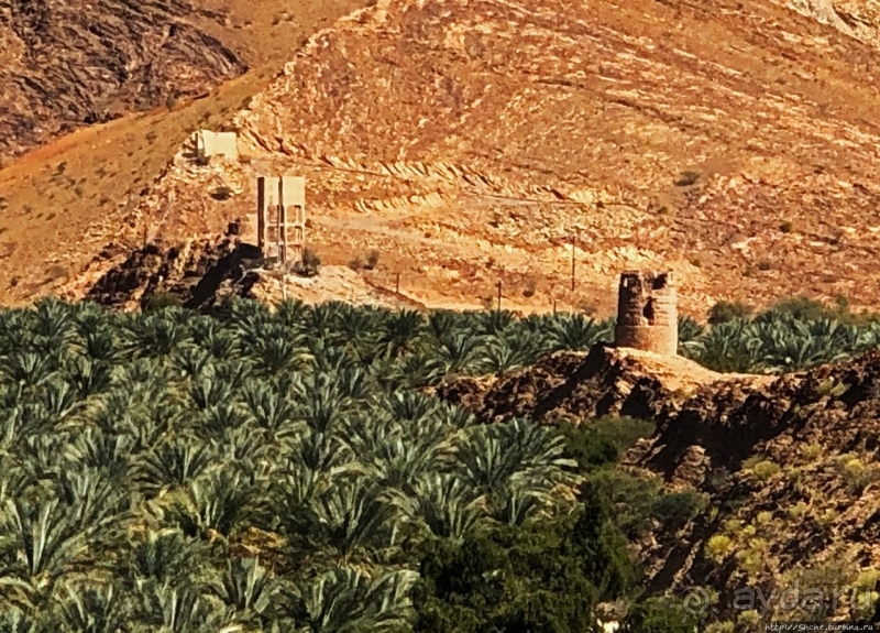 Ирригационные системы "фаладжи": чудо создания оазисов Омана