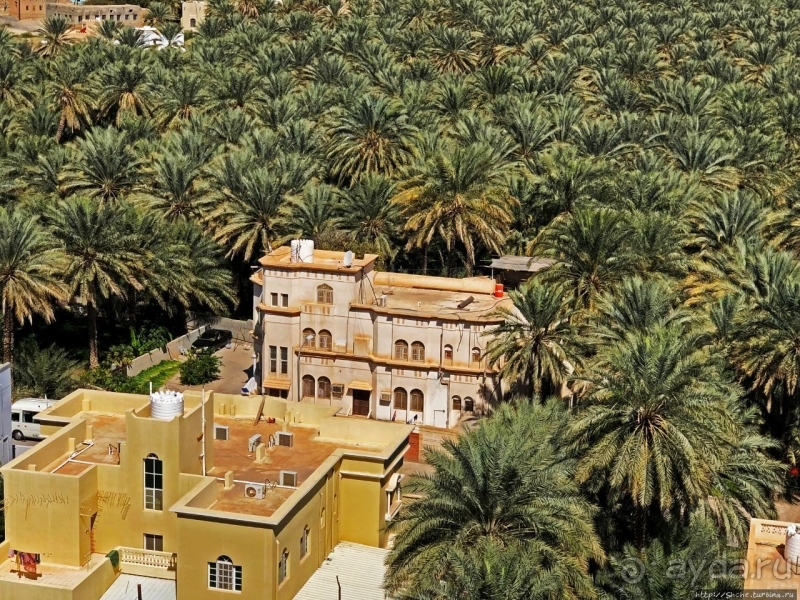 Ирригационные системы "фаладжи": чудо создания оазисов Омана