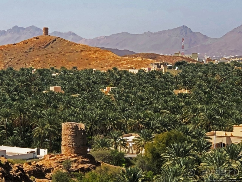 Ирригационные системы "фаладжи": чудо создания оазисов Омана