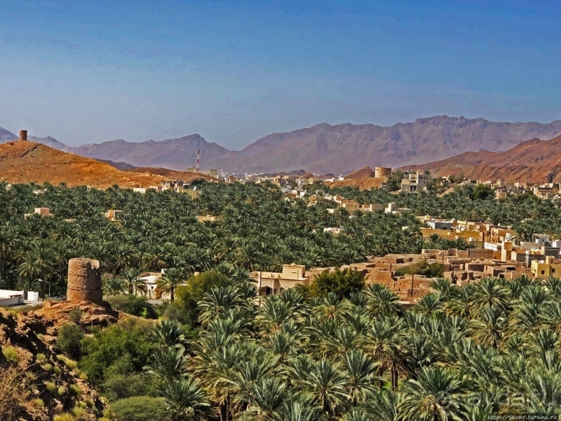 Ирригационные системы "фаладжи": чудо создания оазисов Омана