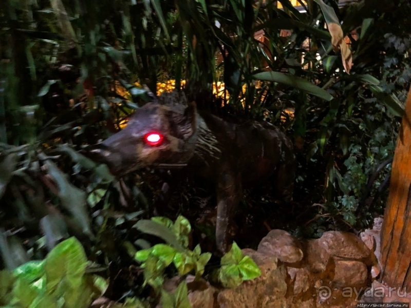 Carnivore — почувствуй себя африканским хищником