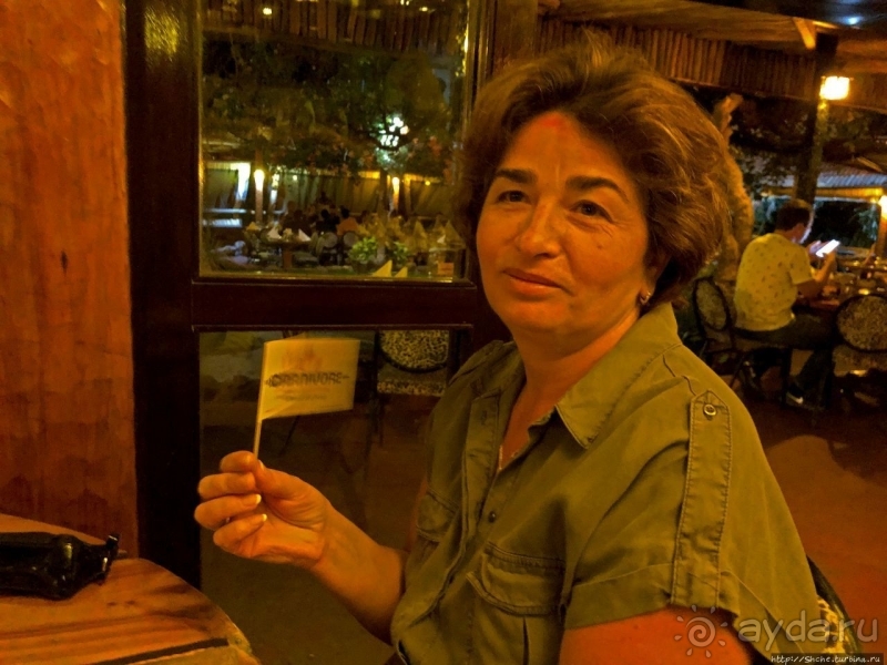 Carnivore — почувствуй себя африканским хищником