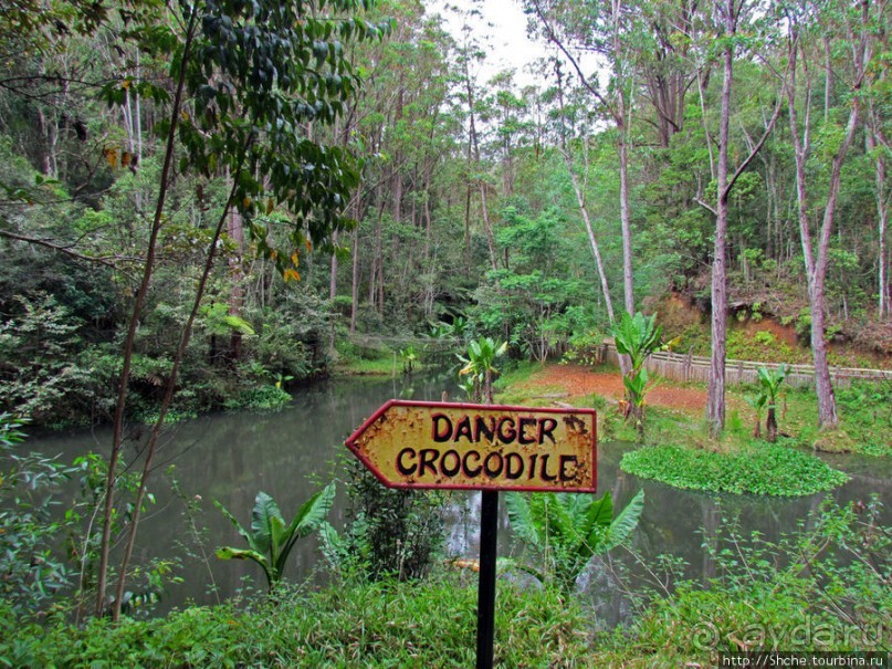 Частный парк "Vakona" - крокодилы, фосса и не только...