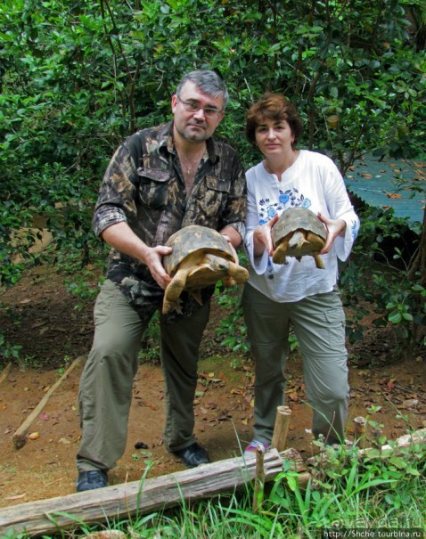 Частный парк "Vakona" - крокодилы, фосса и не только...