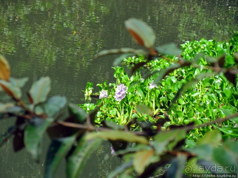 Частный парк "Vakona" - крокодилы, фосса и не только...