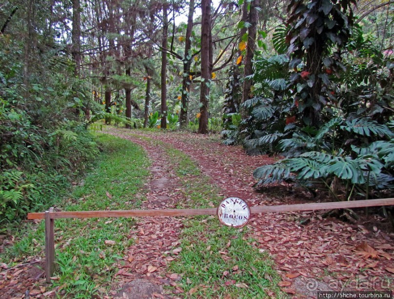 Частный парк "Vakona" - крокодилы, фосса и не только...