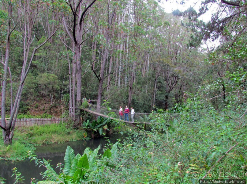 Частный парк "Vakona" - крокодилы, фосса и не только...