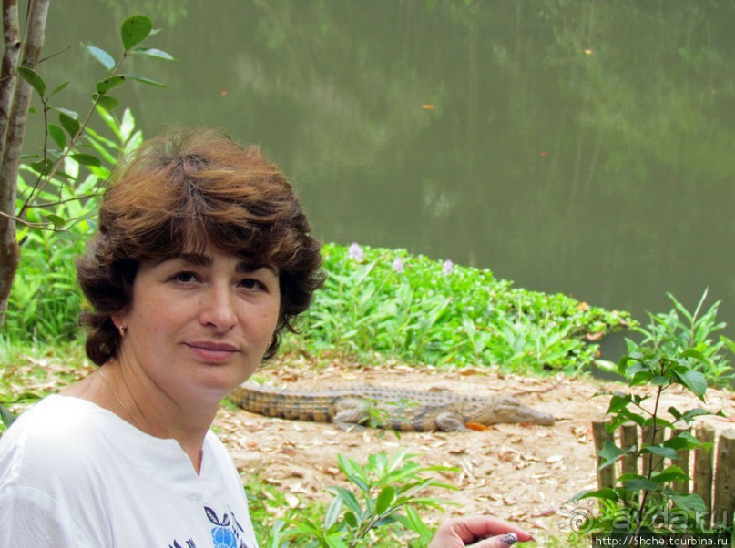 Частный парк "Vakona" - крокодилы, фосса и не только...