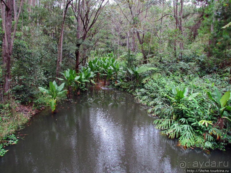 Частный парк "Vakona" - крокодилы, фосса и не только...