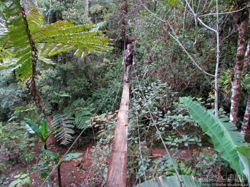 Частный парк "Vakona" - крокодилы, фосса и не только...
