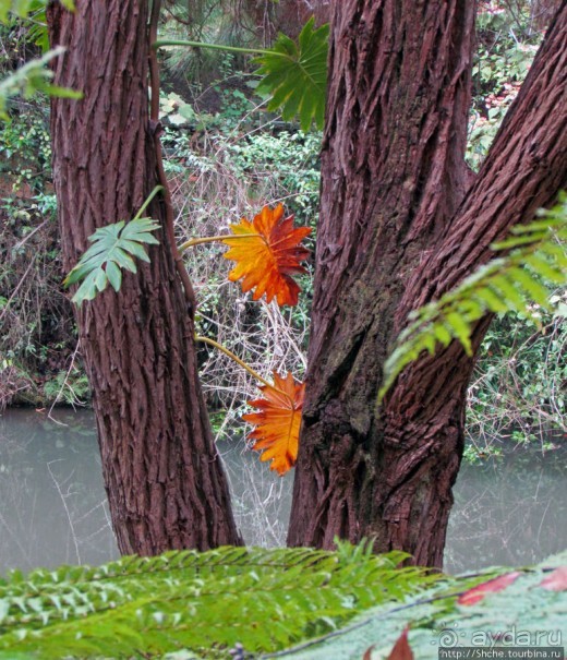 Частный парк "Vakona" - крокодилы, фосса и не только...