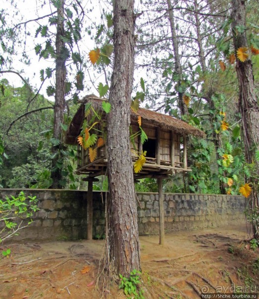 Частный парк "Vakona" - крокодилы, фосса и не только...