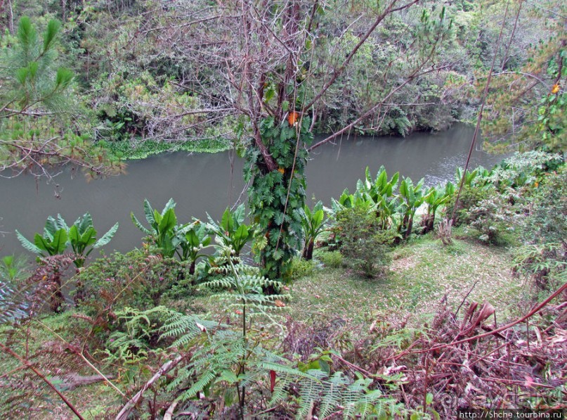 Частный парк "Vakona" - крокодилы, фосса и не только...