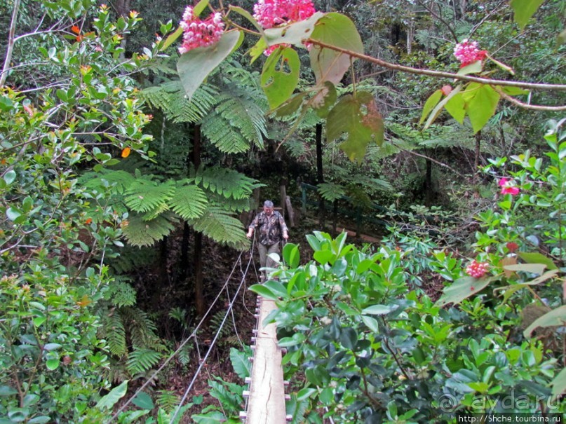 Частный парк "Vakona" - крокодилы, фосса и не только...