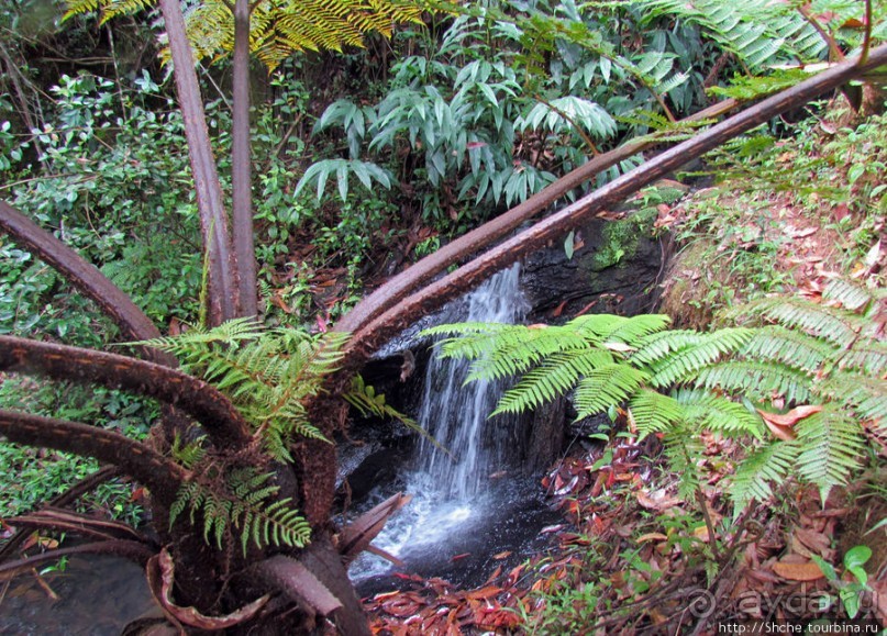 Частный парк "Vakona" - крокодилы, фосса и не только...