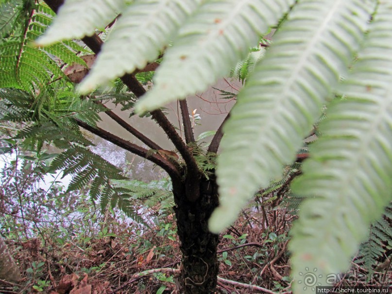 Частный парк "Vakona" - крокодилы, фосса и не только...