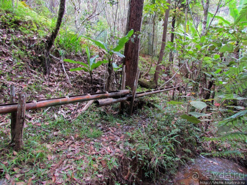Частный парк "Vakona" - крокодилы, фосса и не только...