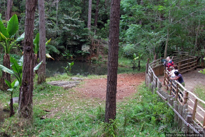 Частный парк "Vakona" - крокодилы, фосса и не только...