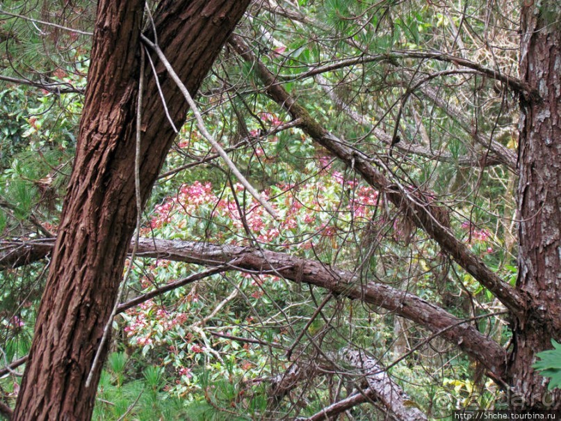 Частный парк "Vakona" - крокодилы, фосса и не только...