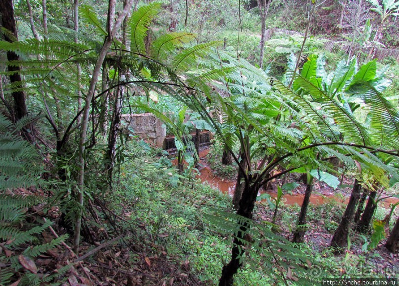 Частный парк "Vakona" - крокодилы, фосса и не только...