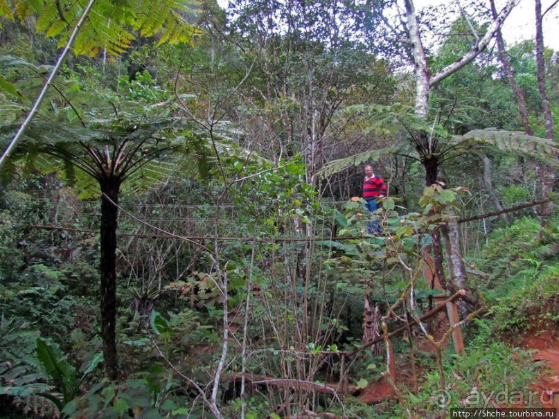Частный парк "Vakona" - крокодилы, фосса и не только...